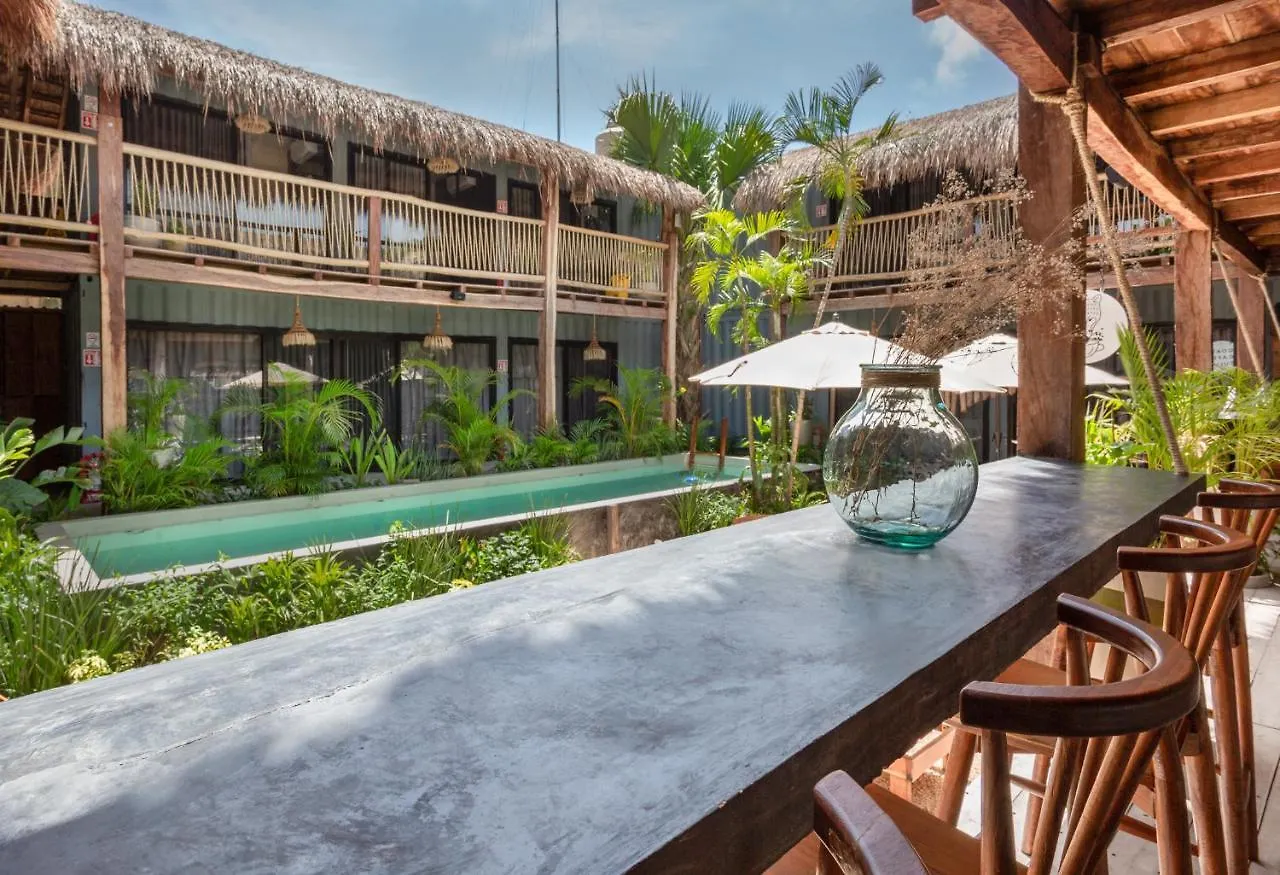 Meteora Stay & Coffeehouse Tulum Hostel